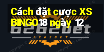 Cách đặt cược XSBINGO18 ngày 12