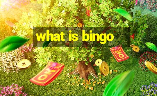 what is bingo