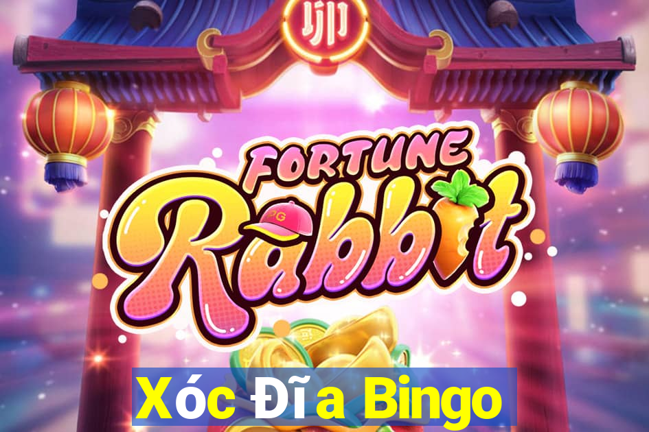 Xóc Đĩa Bingo