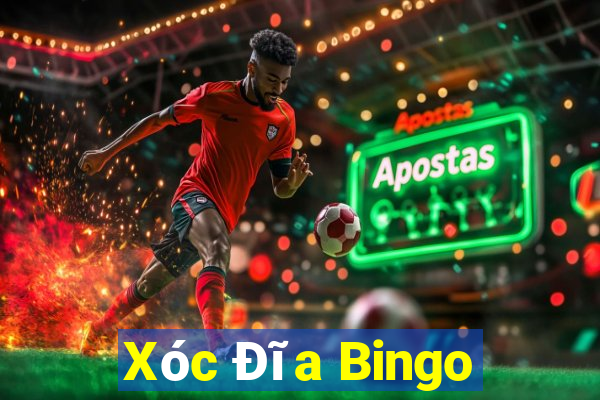 Xóc Đĩa Bingo