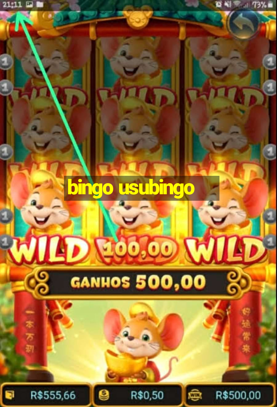 bingo usubingo