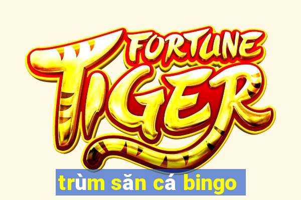 trùm săn cá bingo