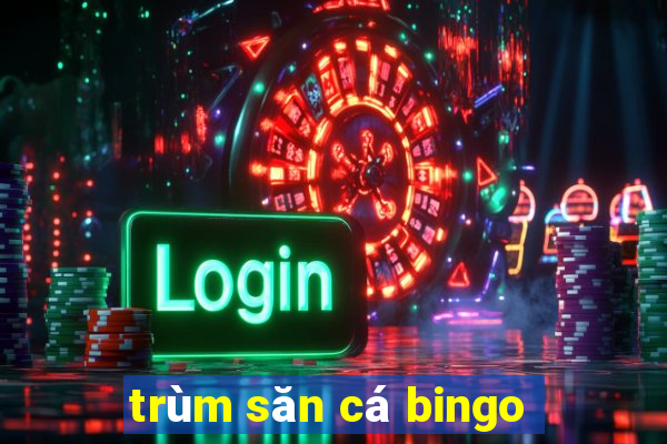 trùm săn cá bingo