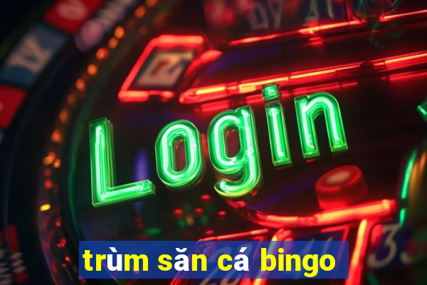 trùm săn cá bingo