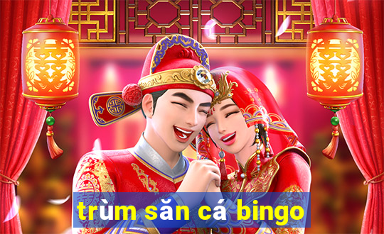 trùm săn cá bingo