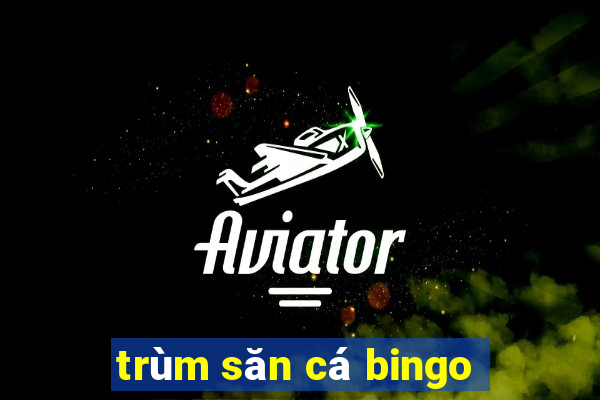 trùm săn cá bingo