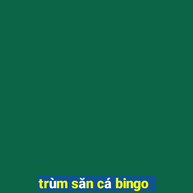 trùm săn cá bingo