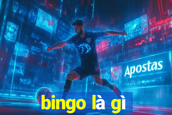 bingo là gì