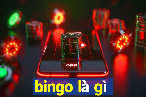 bingo là gì