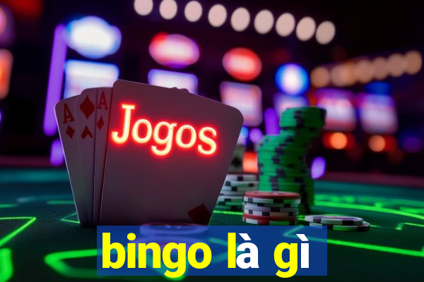 bingo là gì