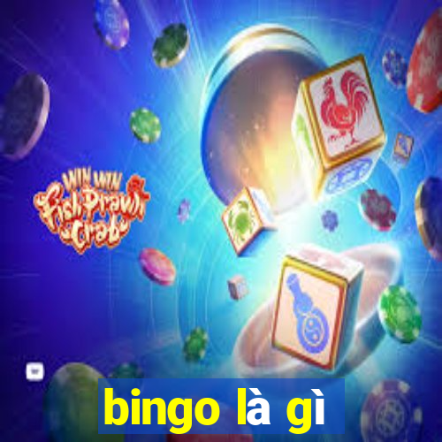 bingo là gì