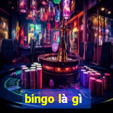 bingo là gì