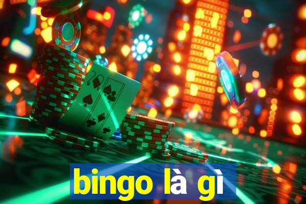 bingo là gì