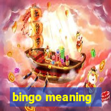 bingo meaning