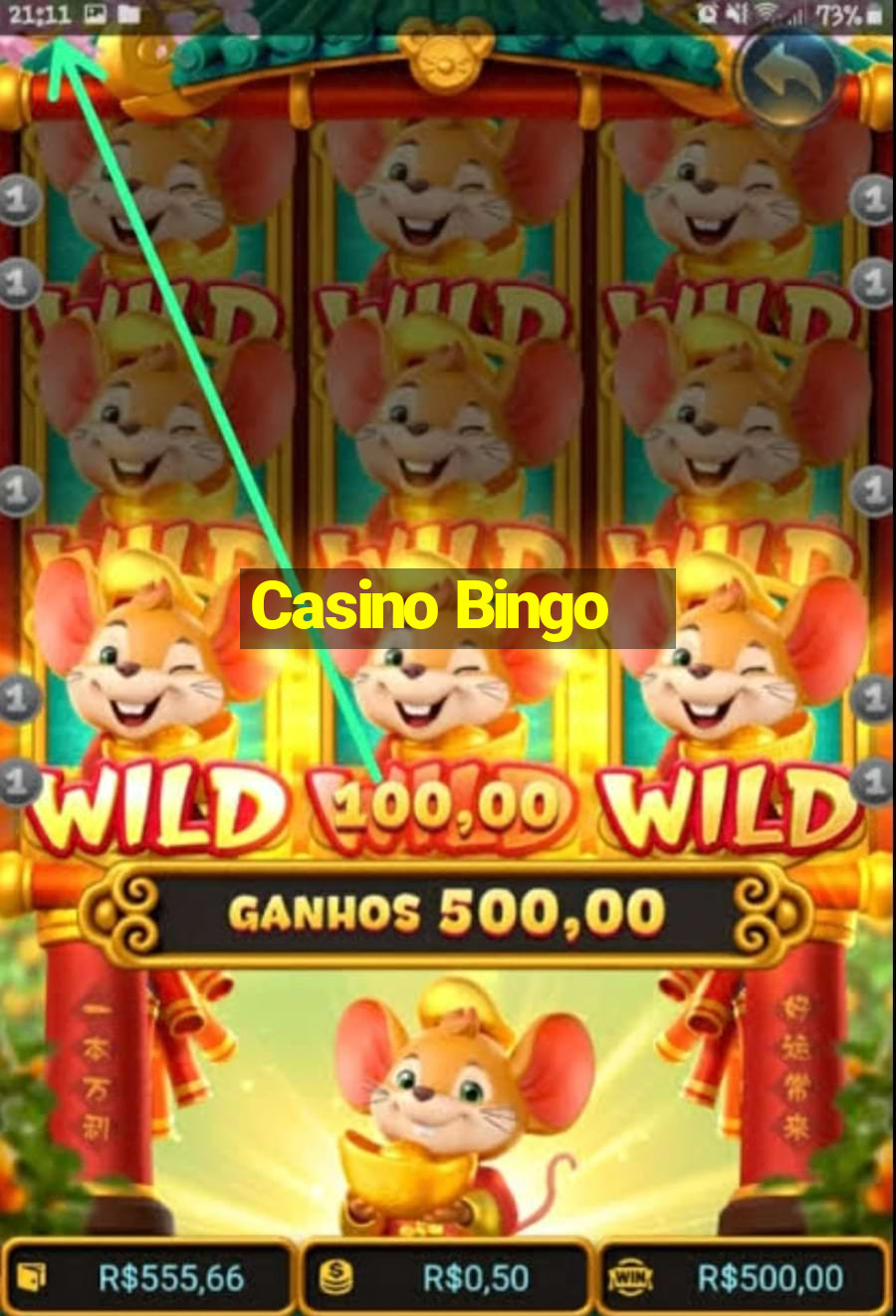 Casino Bingo