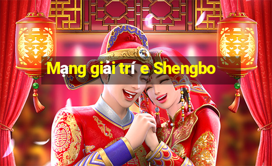 Mạng giải trí e Shengbo