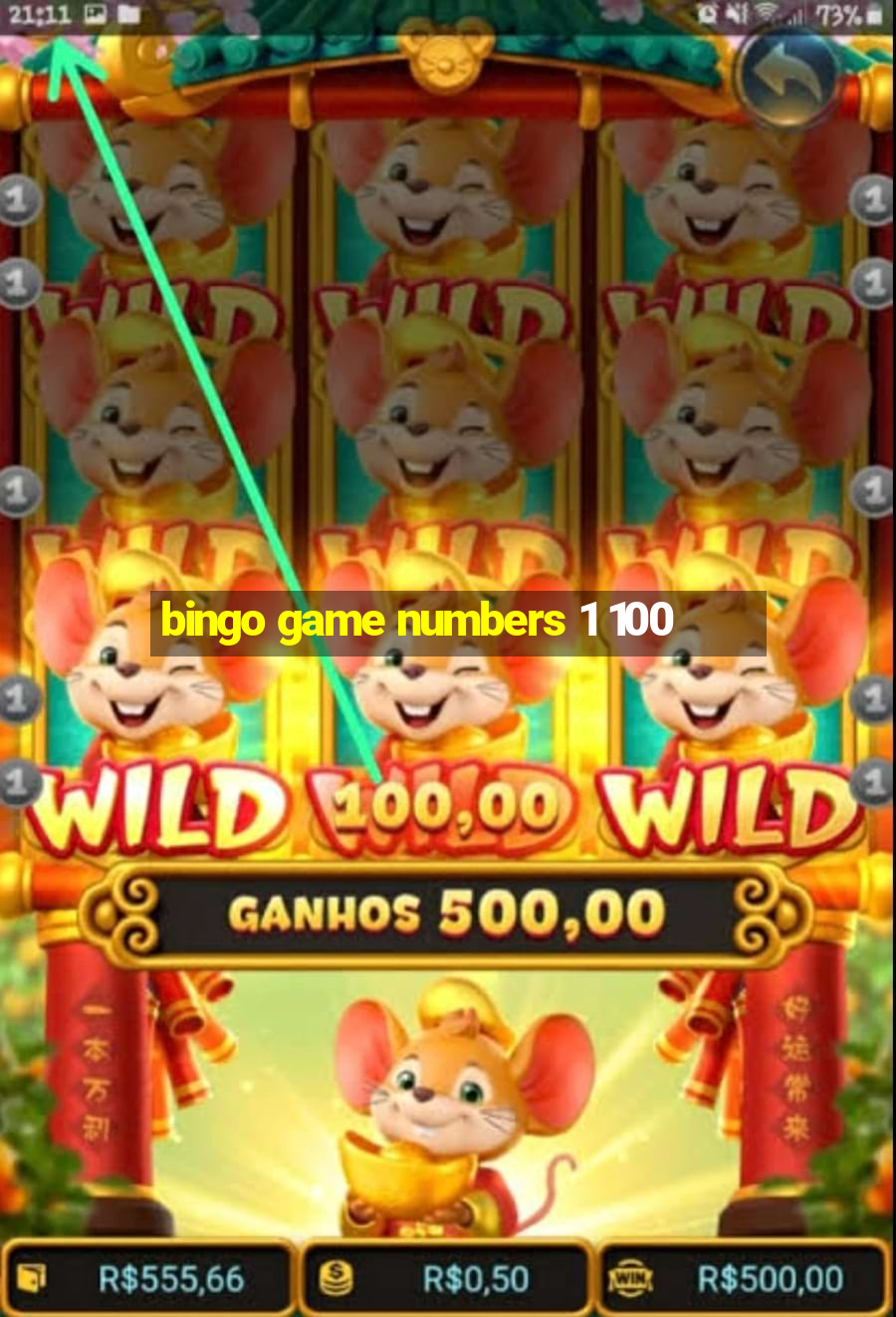 bingo game numbers 1 100